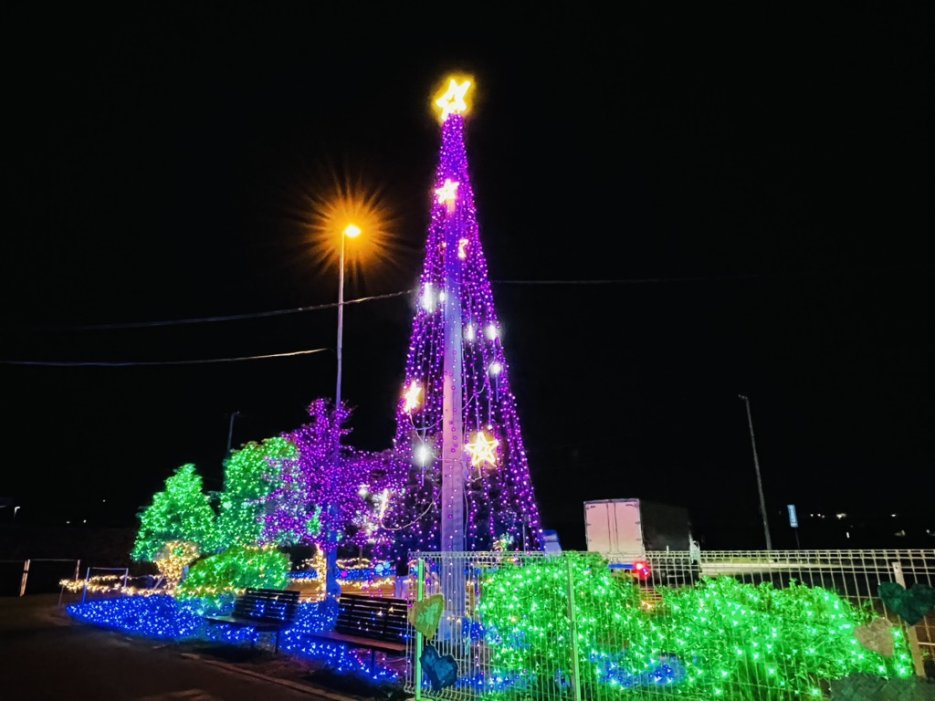 投稿された画像