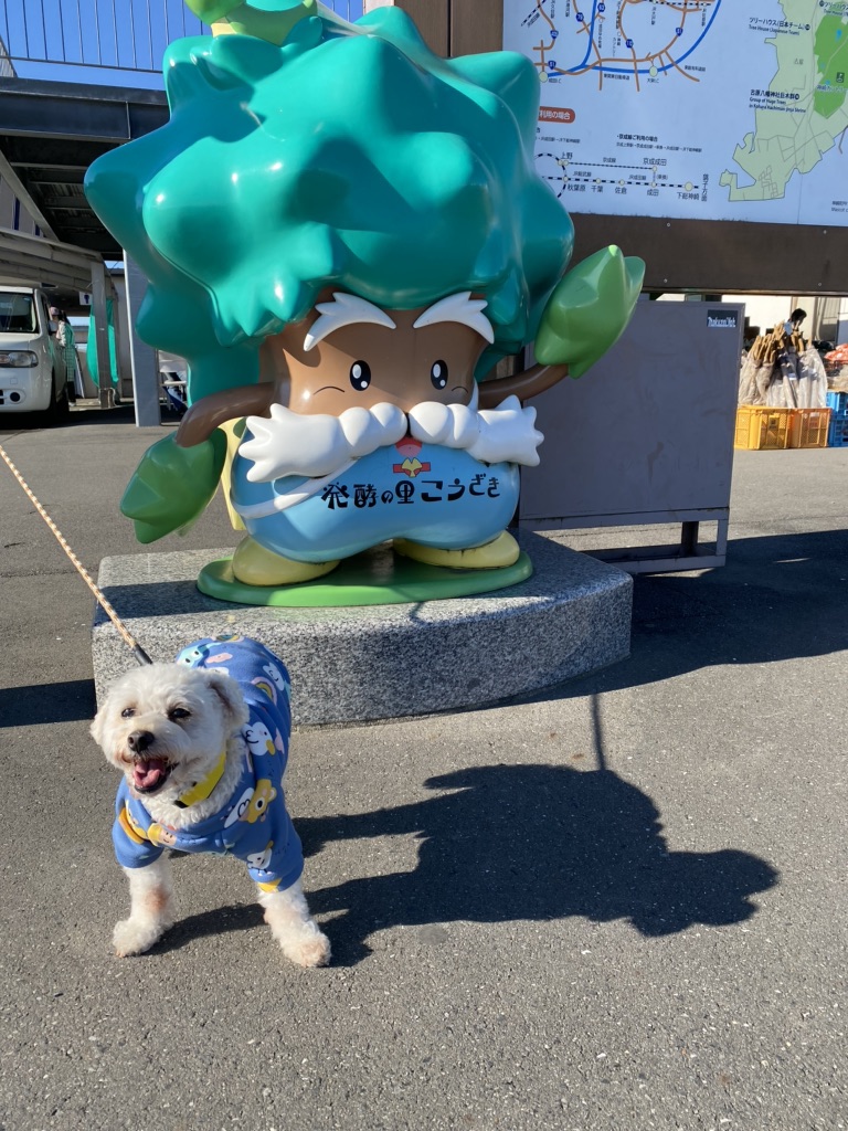 投稿された画像