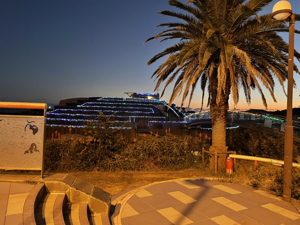 投稿された画像