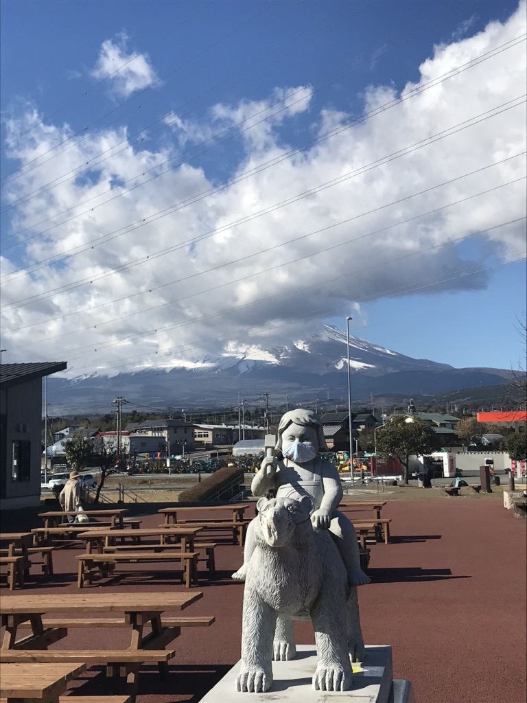 投稿された画像