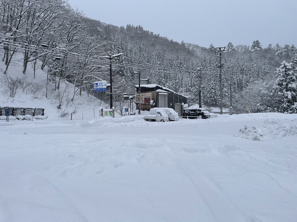投稿された画像