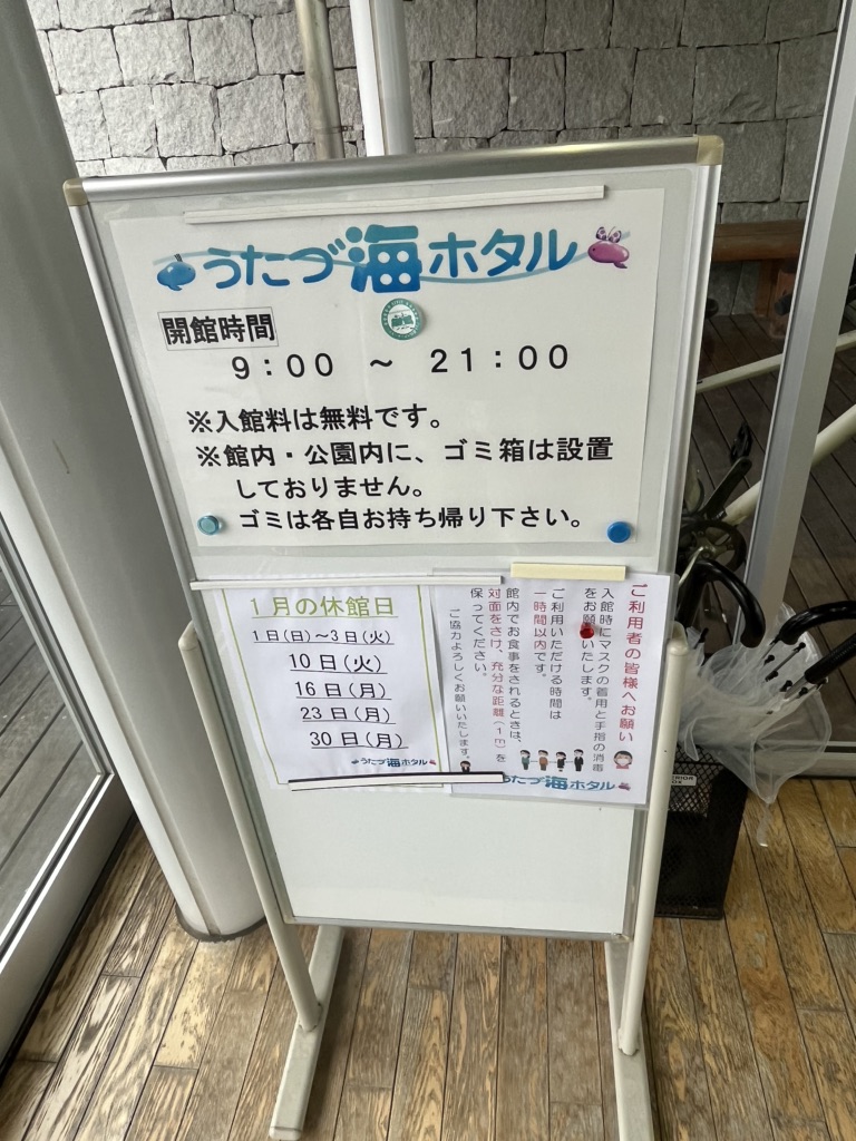 投稿された画像