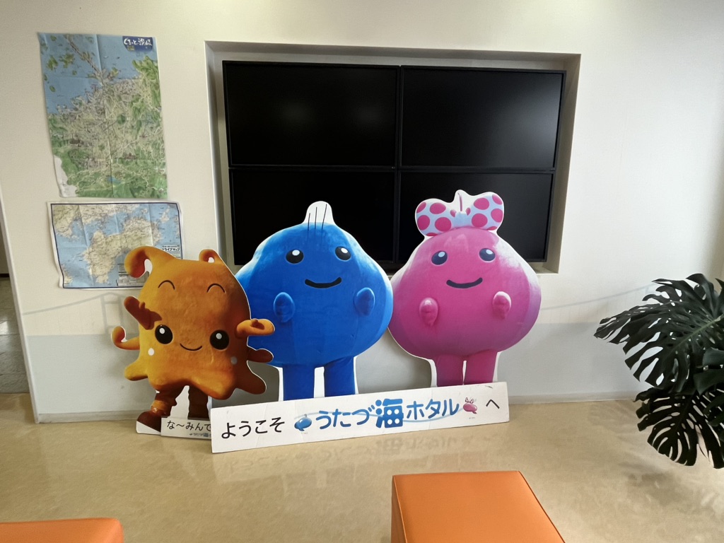 投稿された画像