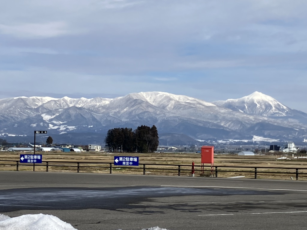 投稿された画像