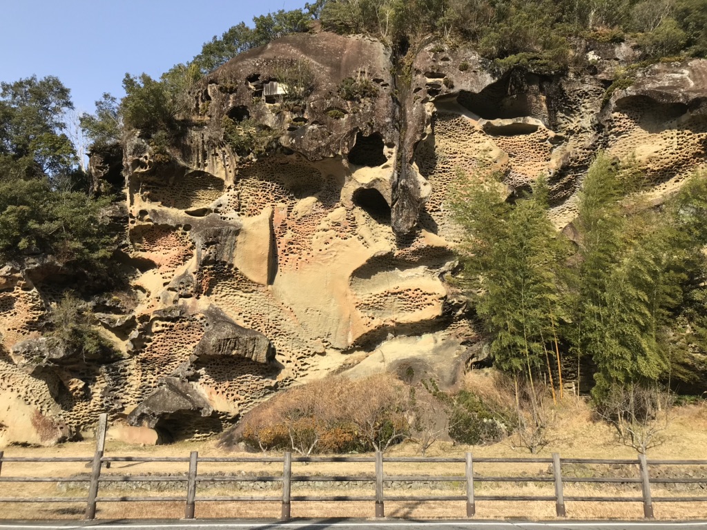 投稿された画像