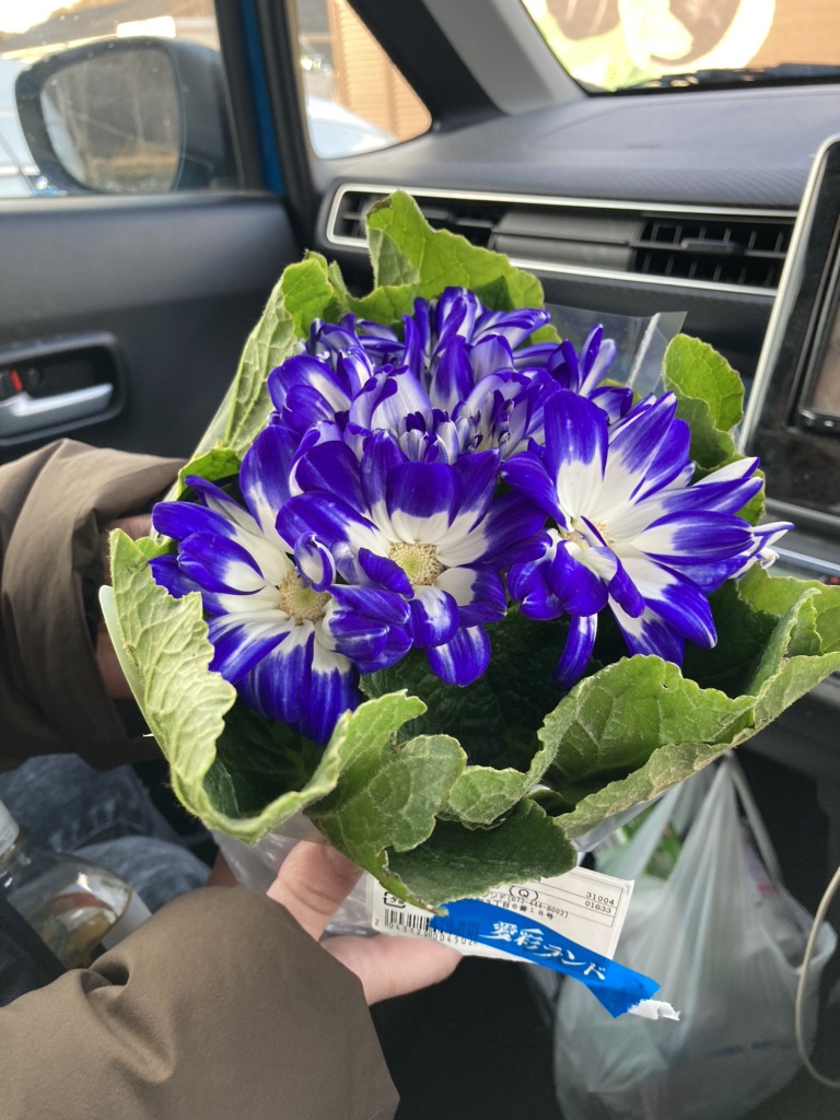 投稿された画像