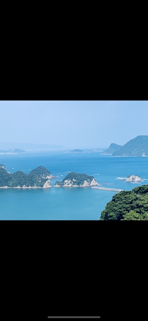 投稿された画像