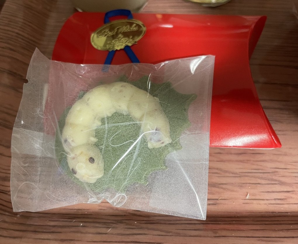 投稿された画像