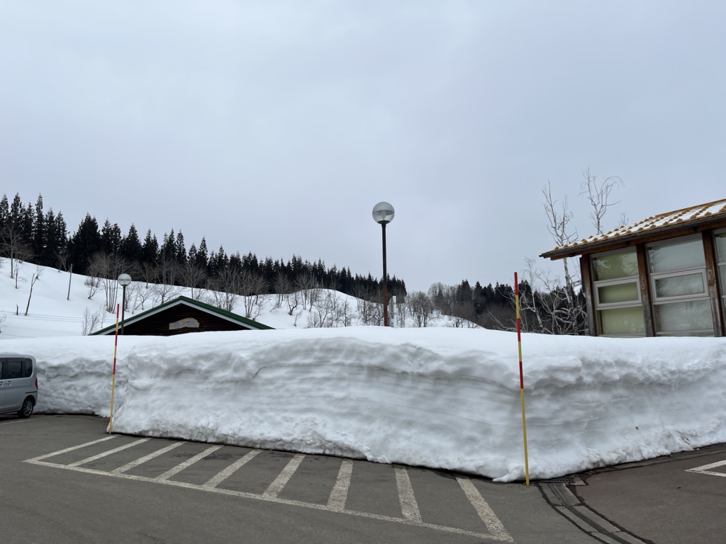 投稿された画像