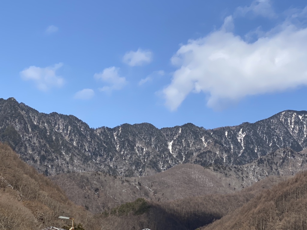 投稿された画像