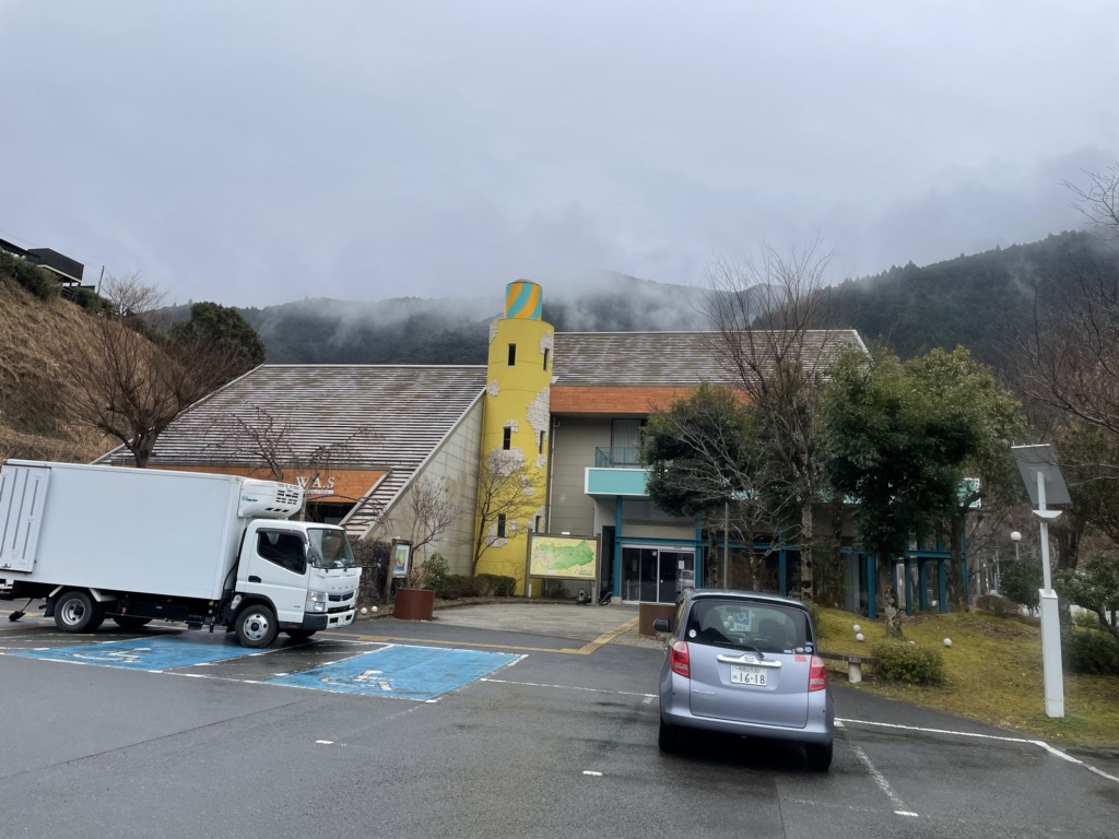 投稿された画像