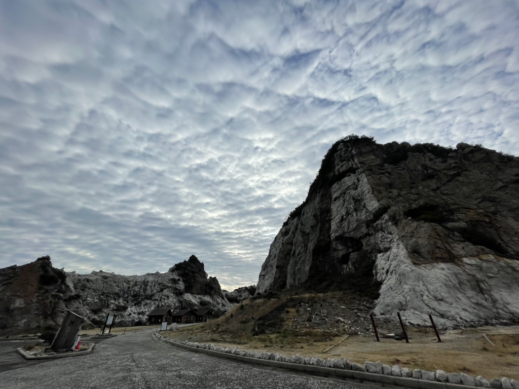 投稿された画像