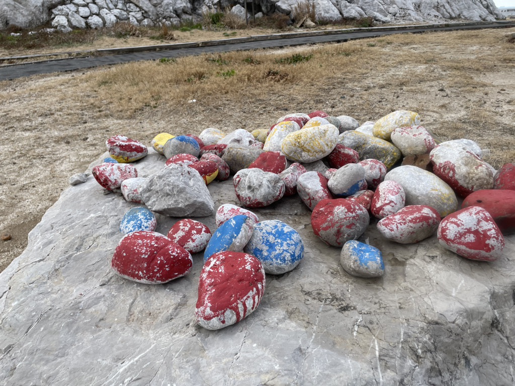 投稿された画像