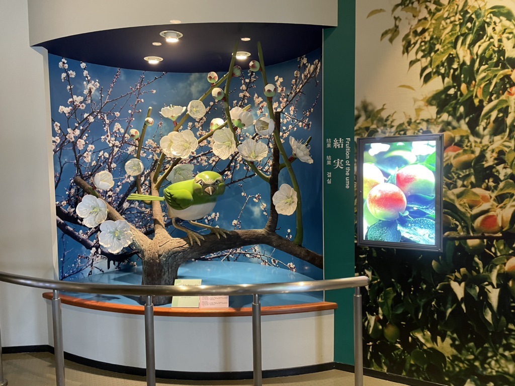 投稿された画像