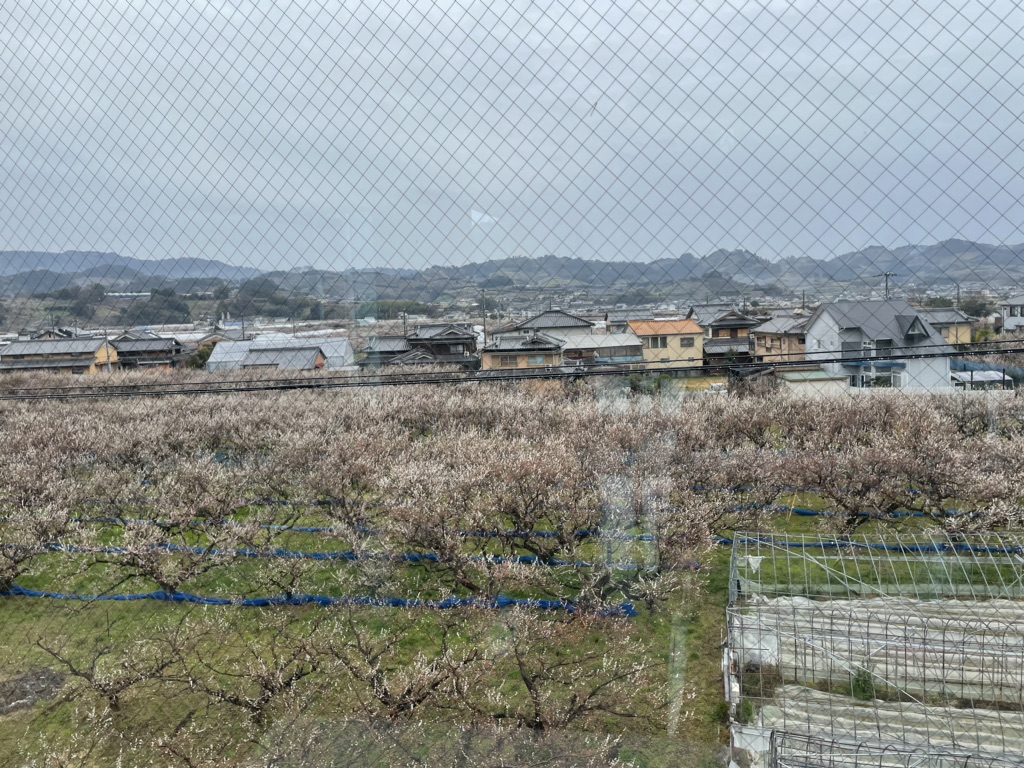 投稿された画像