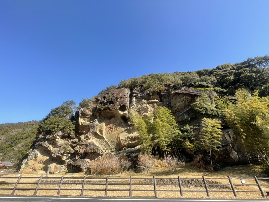 投稿された画像