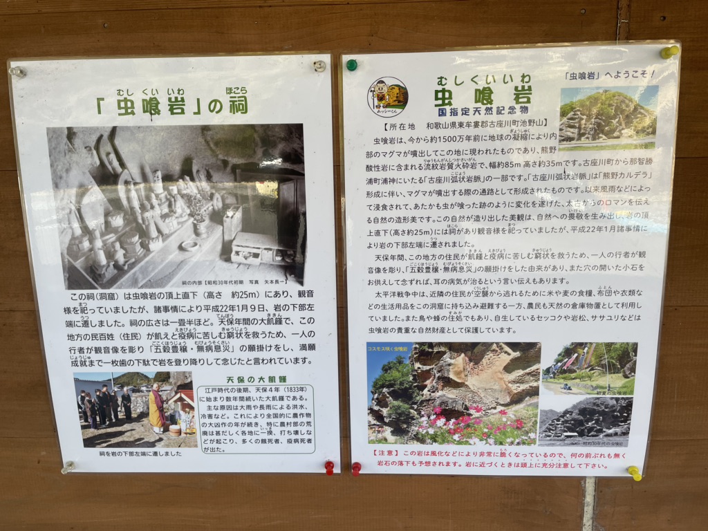 投稿された画像