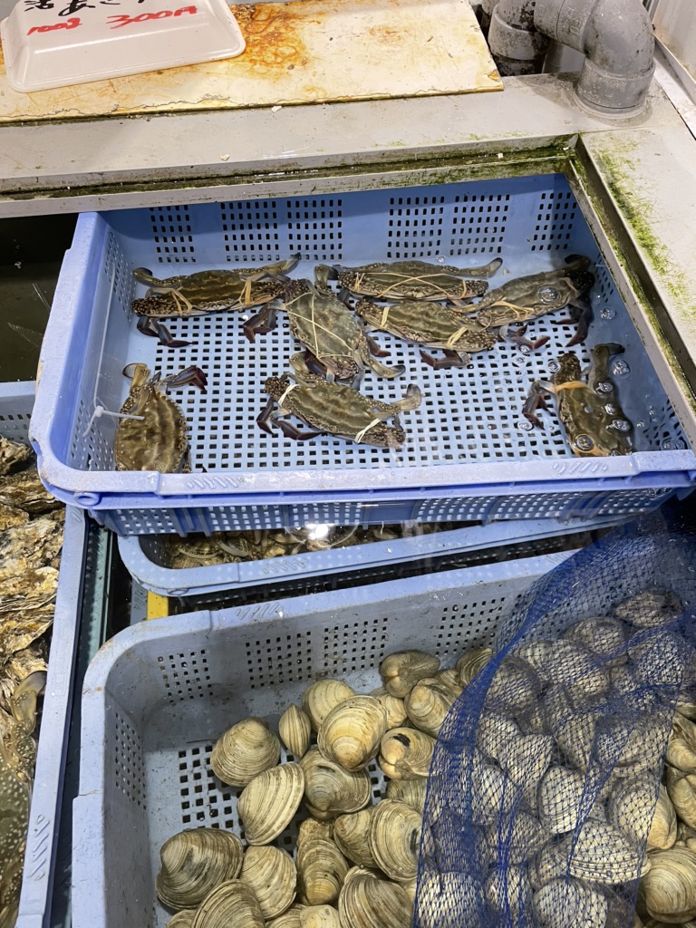 投稿された画像