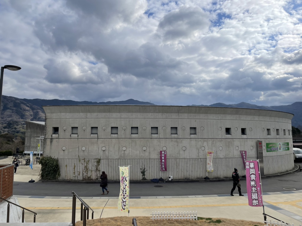 投稿された画像