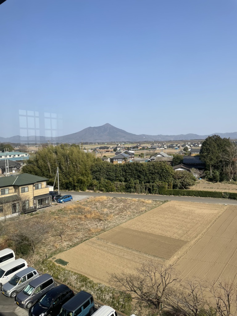 投稿された画像