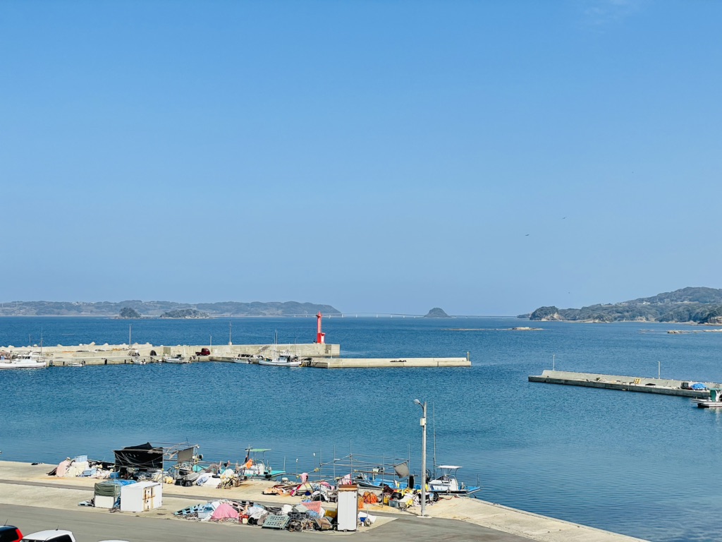 投稿された画像