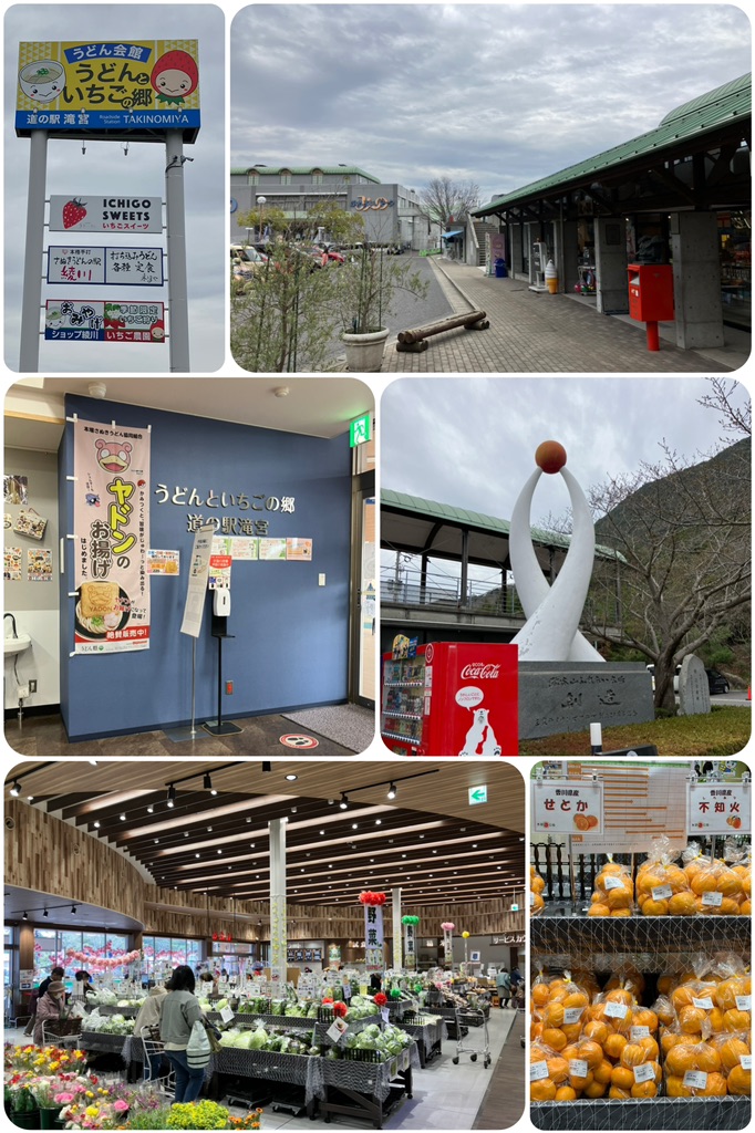 投稿された画像