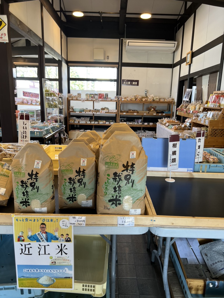 投稿された画像