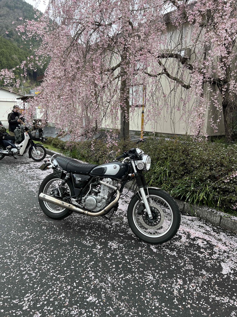 投稿された画像