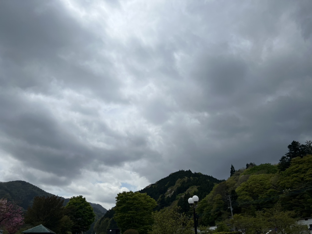 投稿された画像