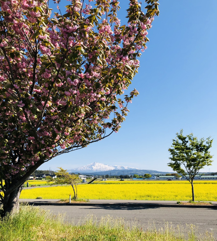 投稿された画像