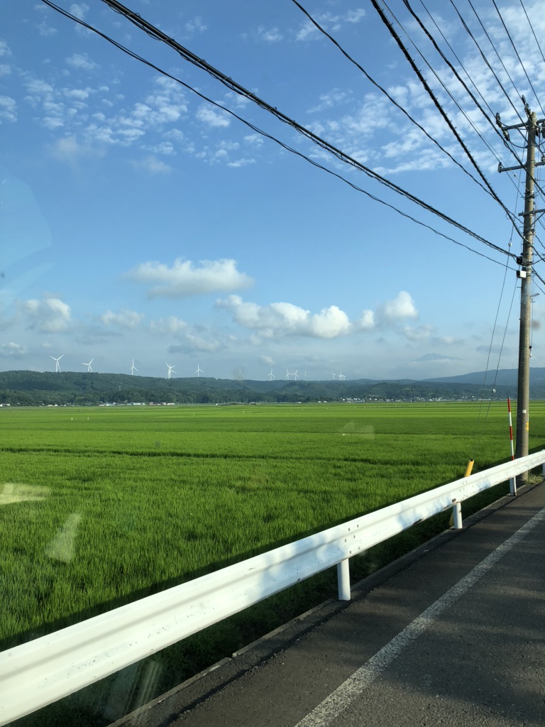 投稿された画像