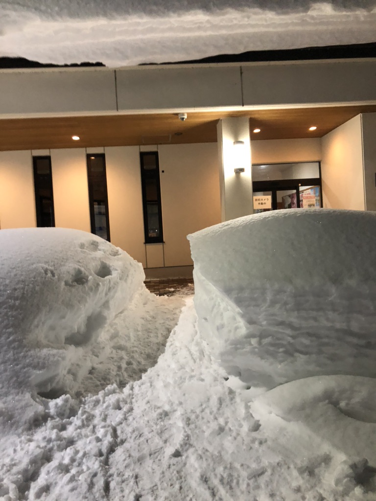 投稿された画像