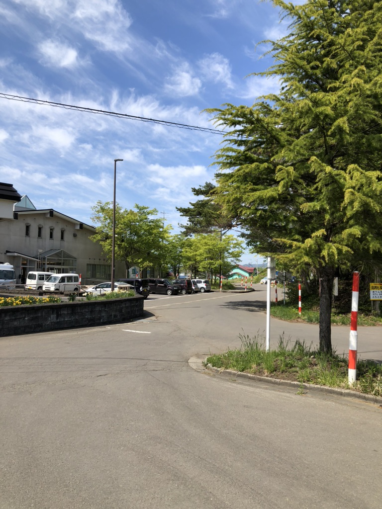 投稿された画像