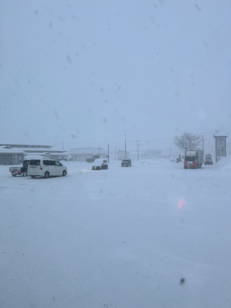 投稿された画像