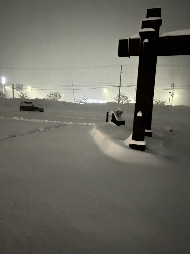 投稿された画像