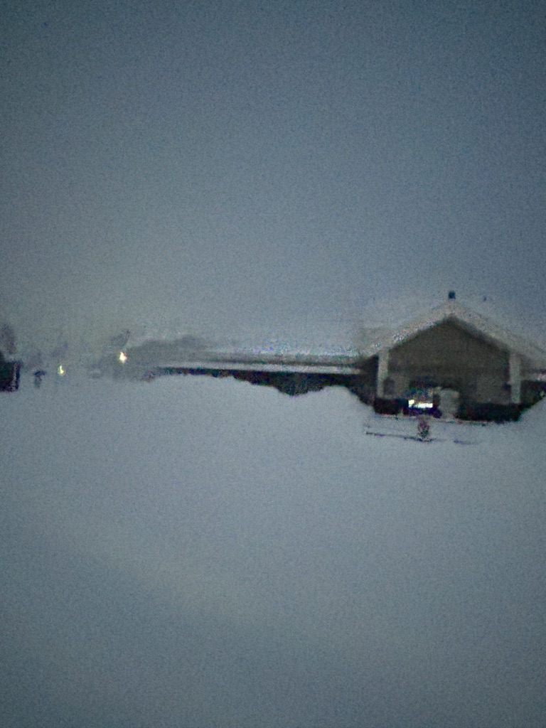 投稿された画像