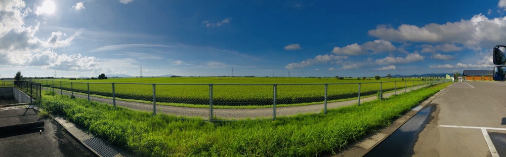 投稿された画像