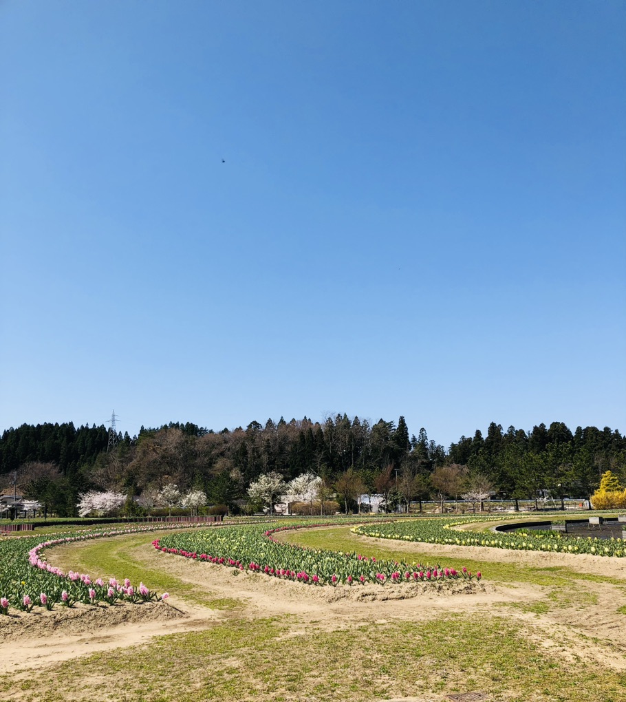 投稿された画像