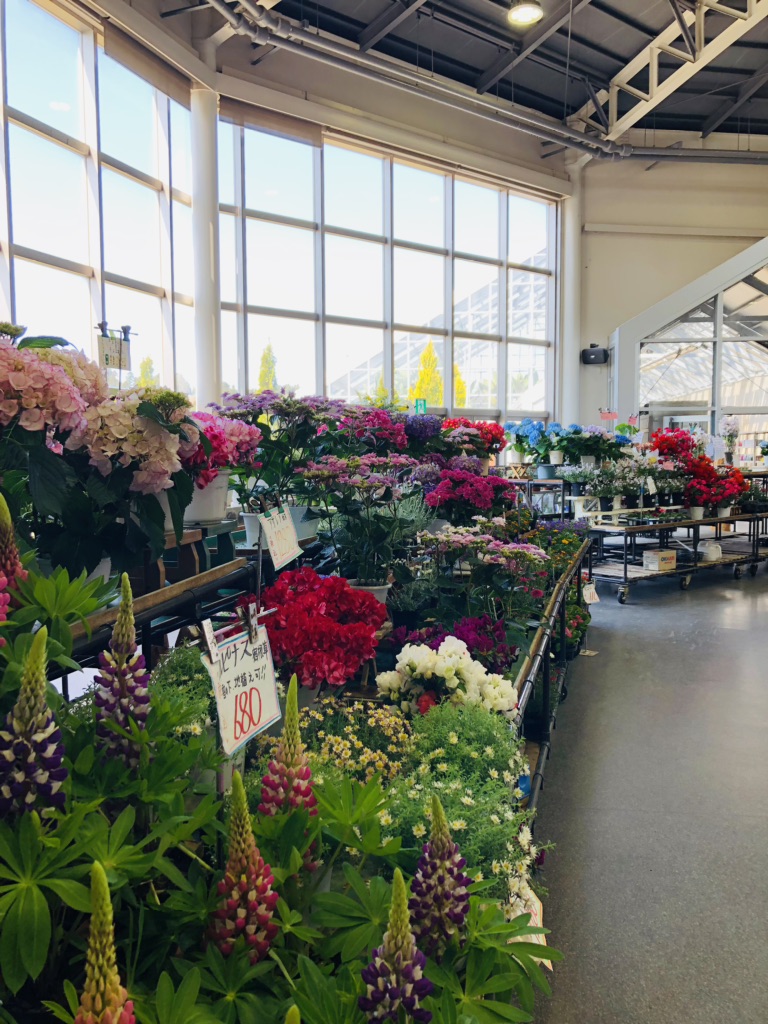 投稿された画像