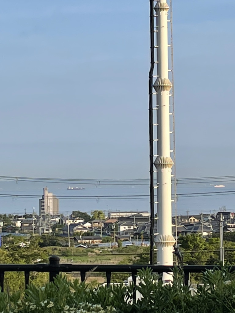 投稿された画像