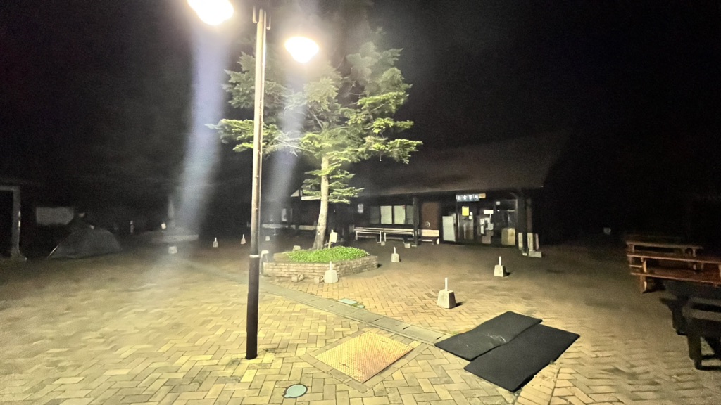 投稿された画像