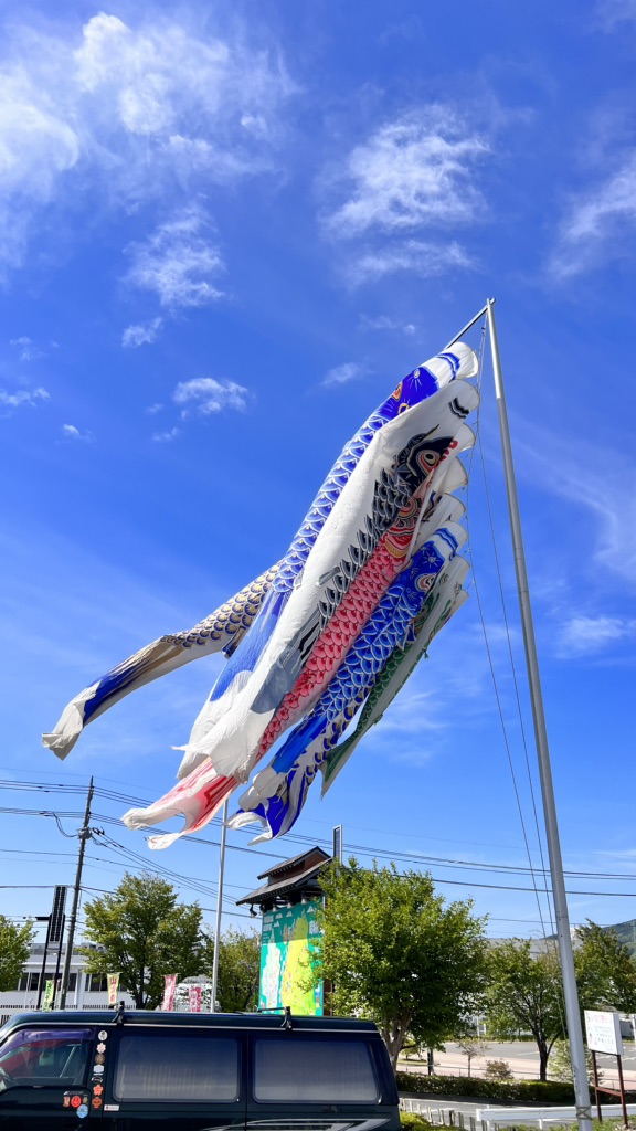 投稿された画像