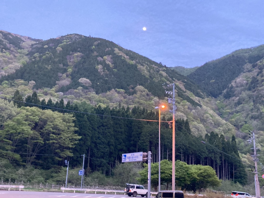 投稿された画像