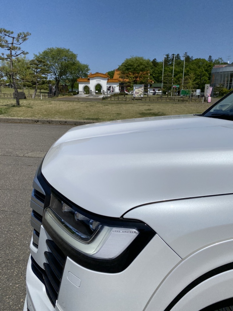 投稿された画像