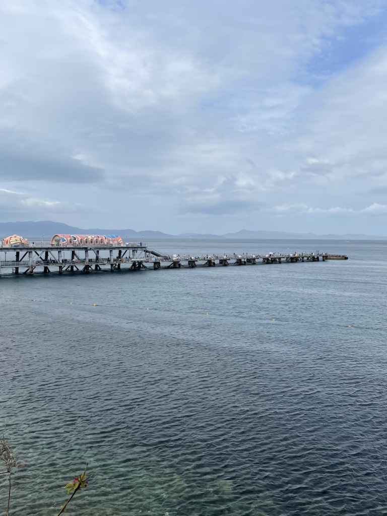 投稿された画像