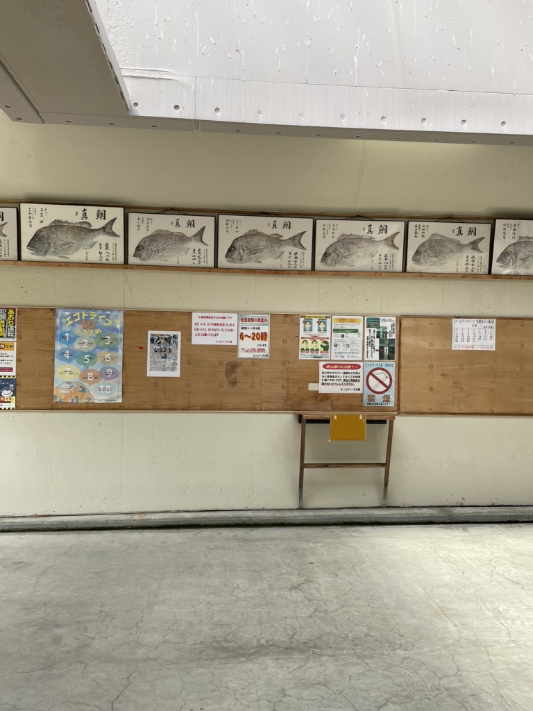 投稿された画像