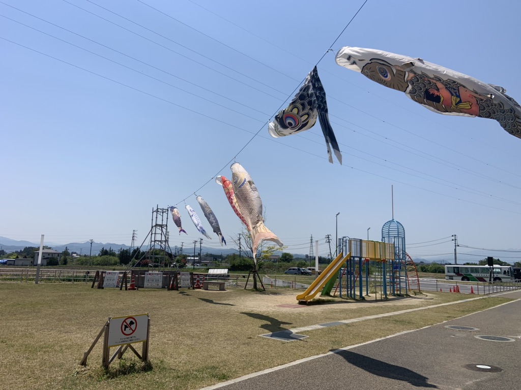 投稿された画像