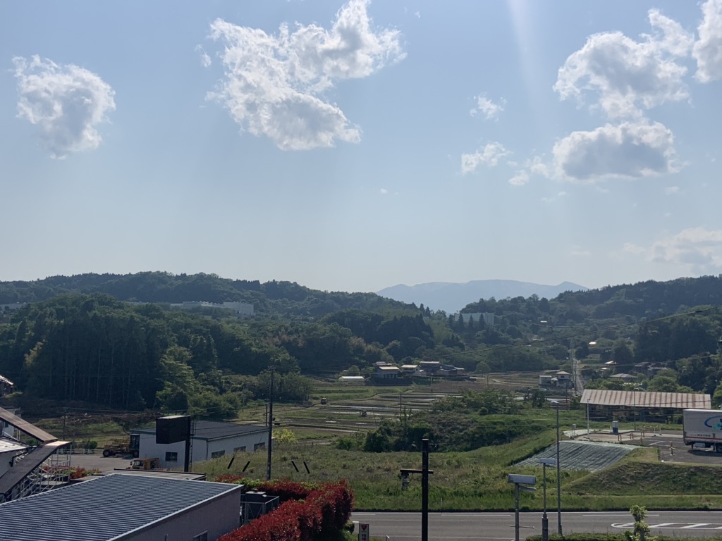 投稿された画像