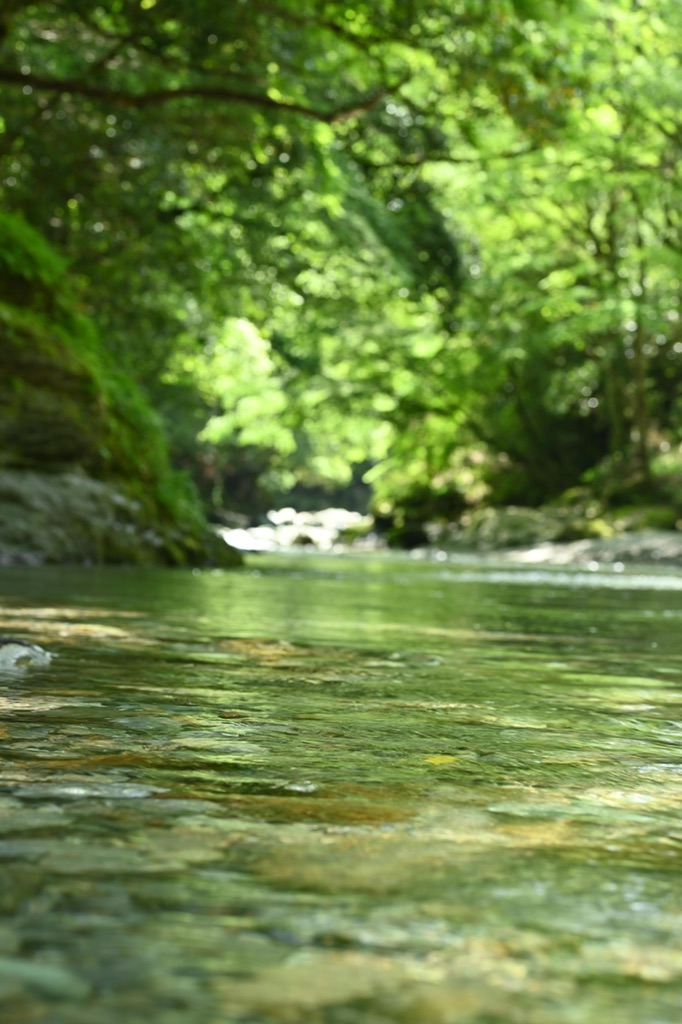 投稿された画像