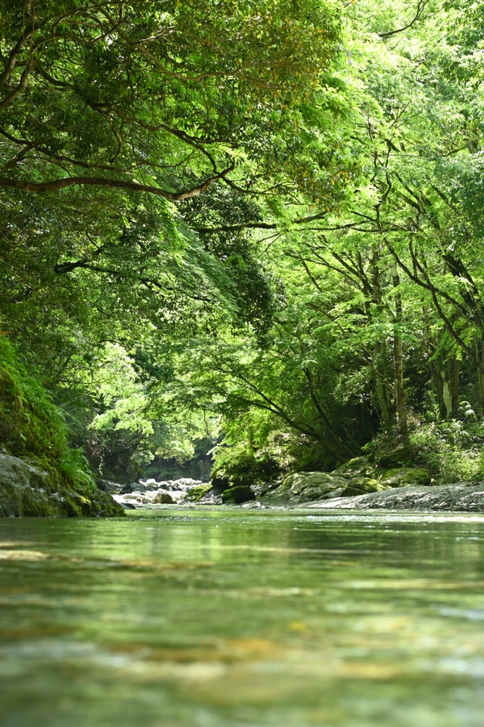 投稿された画像